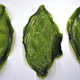 Image for article titled The First Man-Made Biological Leaf Turns Light and Water Into Oxygen